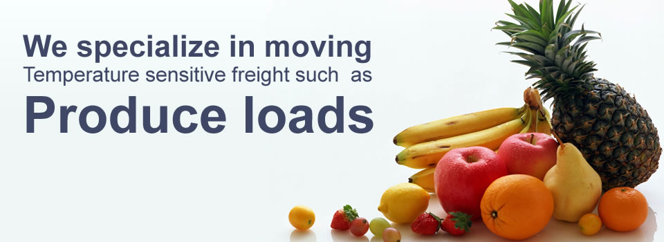moving temperature sensitive freight